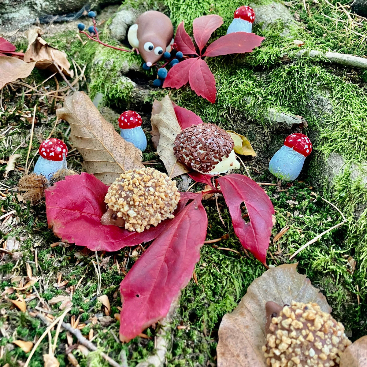 Herbst bei Bitter & Zart