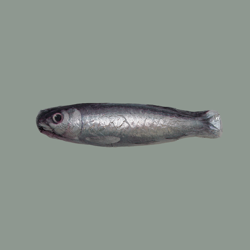 Cluizel Zartbitter Sardine