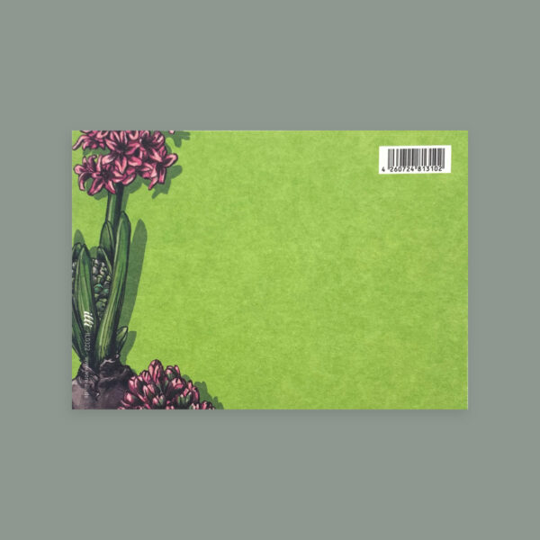 Postkarte Rückseite Hyazinthe. Grüner Hintergrund, links ein Ausschnitt einer Hyazinthe.