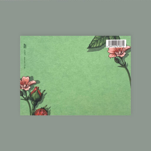 Rückseite Postkarte. Grün linke untere Ecke eine Rosé Farben Nelke und zwei Rote Rosenknospen. Oben gehts Nelke. viel Platz zum schreiben