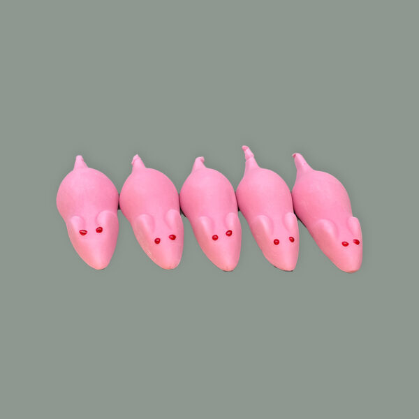 Fünf Mäuse aus Schaumzucker. Passend zu ihrem Heidelbeere Geschmack sind sie farblich leicht rosa, mit roten Augen.